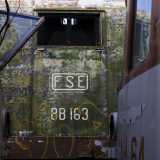 Un treno modello BB 163. L'antico colore verdastro sembra quasi muschio